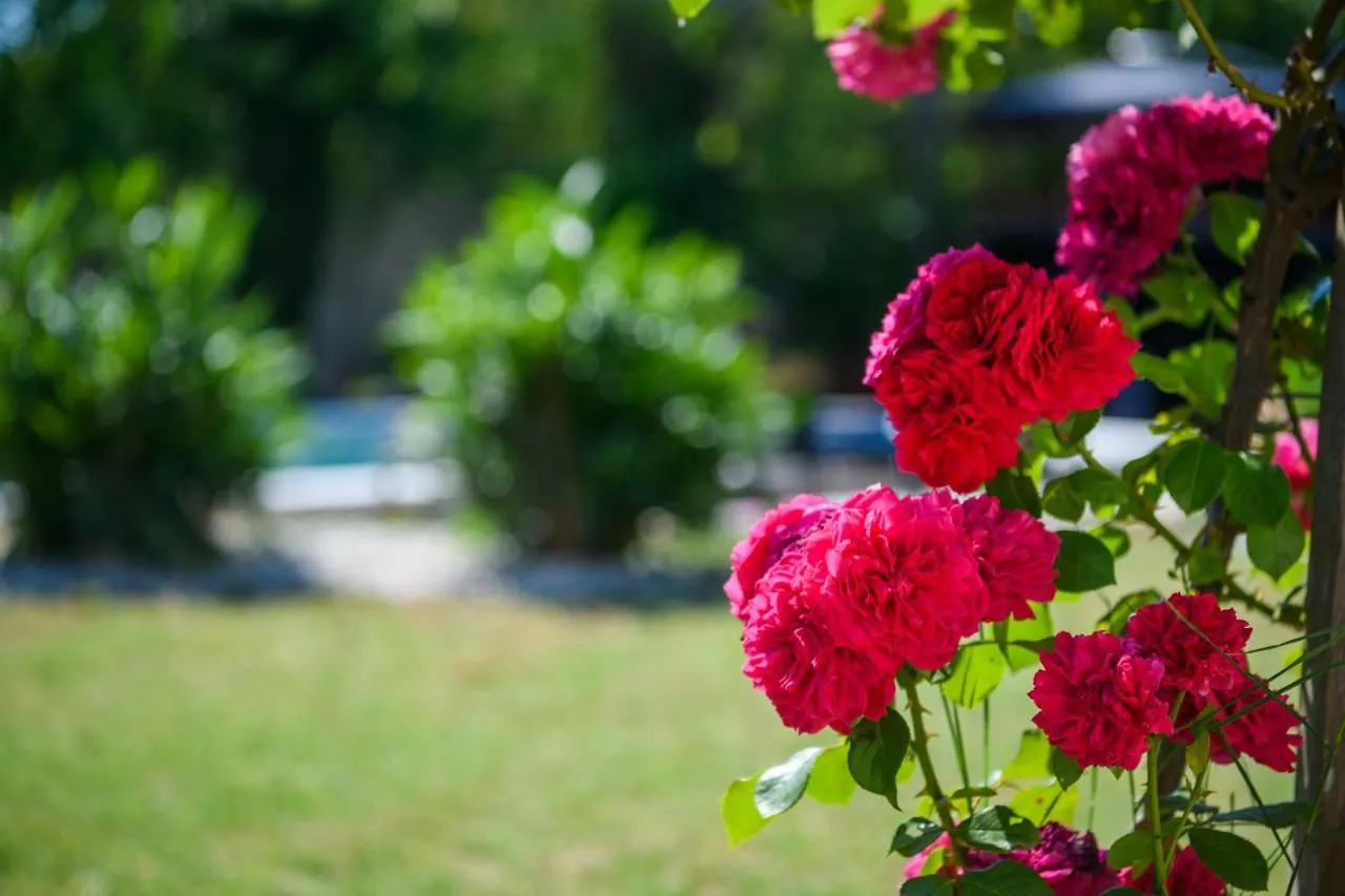 Haus Rustica Villa Pula Holiday home